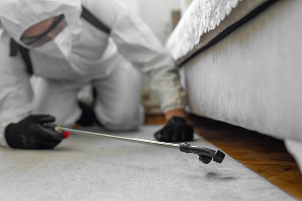 Professional Termite Control technician working in Sausalito, CA