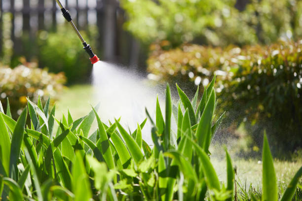 24/7 Emergency Termite Control experts in Sausalito, CA
