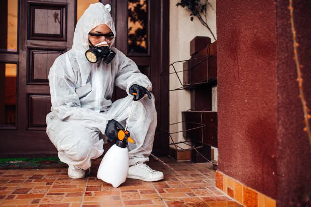 Reliable Termite Control contractor in Sausalito, CA by Nex Pest Control